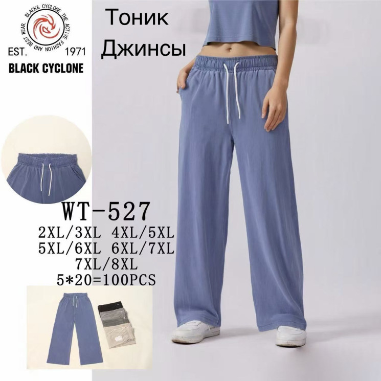 Штани жіночі Батал ( 2XL-3XL, 3XL-4XL, 5XL-6XL, 7XL-8XL )  N98336