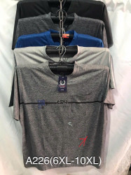 Футболка чоловіча ( 6XL - 10XL ) N98028