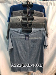 Футболка чоловіча ( 6XL - 10XL ) N98029
