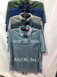 Футболка чоловіча ( XL - 5XL ) N98031