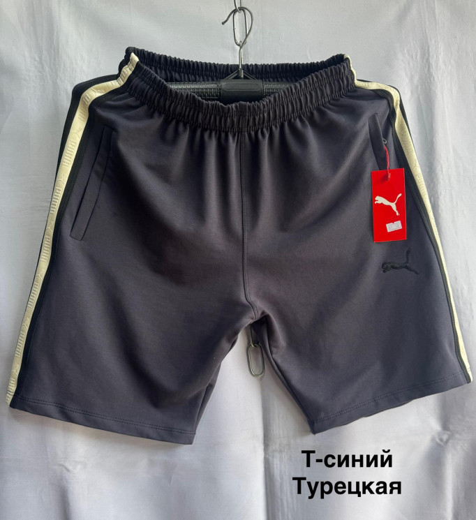 Шорти чоловічі (48,50,52,54,56 р.) P100220