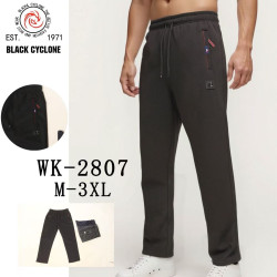 Спортивні штани чоловічі ( М, L, XL, 2XL, 3XL)  N96873