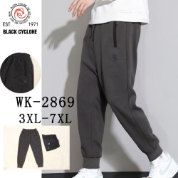 Спортивні штани чоловічі манжет Батал ( 3XL, 4XL, 5XL, 6XL, 7XL)  N98454
