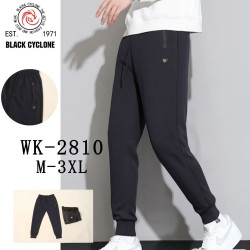 Спортивні штани чоловічі манжет ( М, L, XL, 2XL, 3XL)  N96876