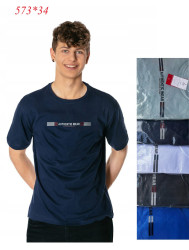 Футболка чоловіча ( L- 4XL) N96395