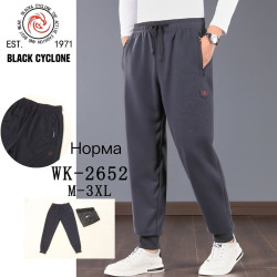 Спортивні штани чоловічі манжет ( М, L, XL, 2XL, 3XL)  N96877