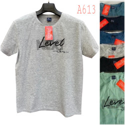 Футболка чоловіча ( 2XL- 5XL) N96396