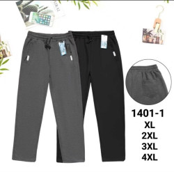Спортивні штани чоловічі ( XL, 2XL, 3XL, 4XL )  N96870