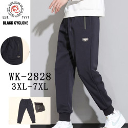 Спортивні штани чоловічі манжет Батал ( 3XL, 4XL, 5XL, 6XL, 7XL)  N96878