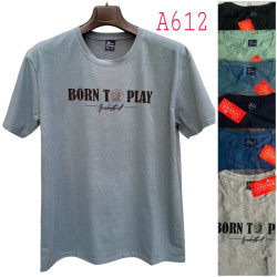 Футболка чоловіча ( 2XL- 5XL) N96397