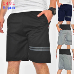 Шорти чоловічі ( 4XL, 5XL, 6XL )  N99874
